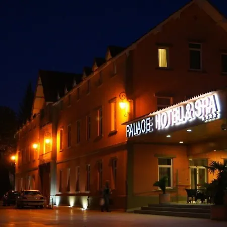 Palace Hotel & Spa - Termas De Sao Vicente-2